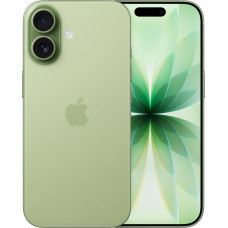 Apple iPhone 17 16 cm (6.3") Dual SIM iOS 26 5G USB Type-C 256 GB Sage