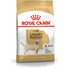Royal Canin Labrador Adult - dry dog food - 12 kg