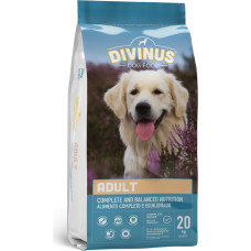 Divinus Adult - dry dog food - 20 kg
