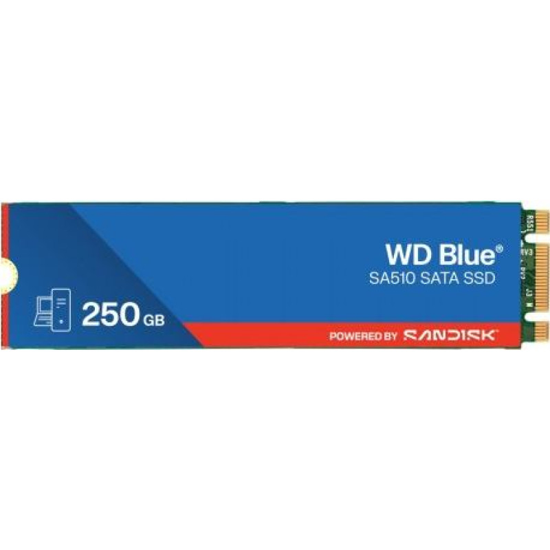 Western Digital SSD drive Blue 250GB SA510 M.2 2280 WDS250G3B0B