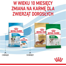 Royal Canin Puppy Mini - dry dog food - 8 kg