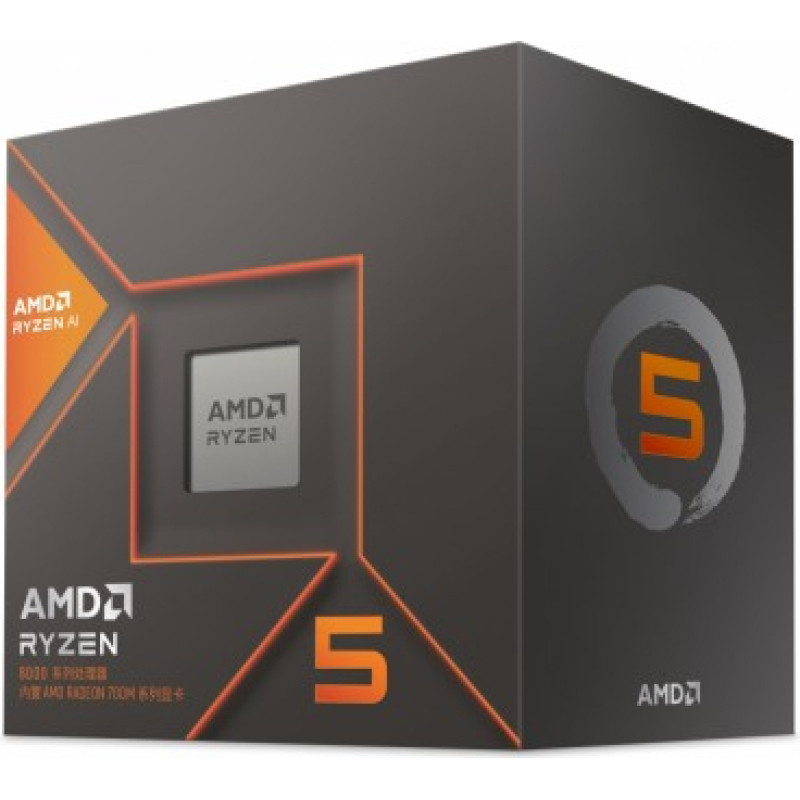 AMD Processor Ryzen 5 8600G 100-100001237BOX