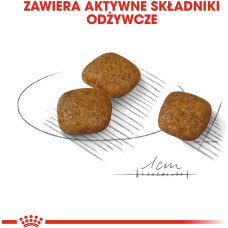 Royal Canin Mini Urinary Care - dry dog food - 3 kg