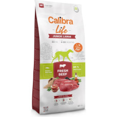 Calibra Life Junior Large breed Fresh Beef - dry dog food - 12kg