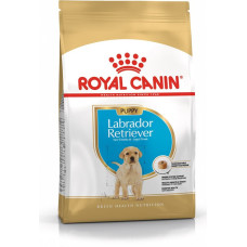 Royal Canin SHN Breed Labrador Junior dry dog food - 12 kg