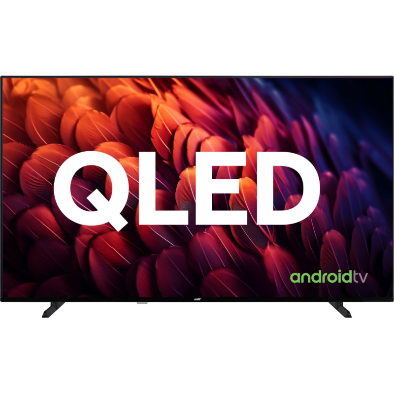 Elit Televiisor QA-6524UHDTS2