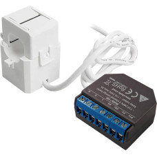 Shelly Set EM + 50A Transformer (energy measurment)