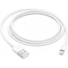 Apple Lightning to USB cable (1 m)