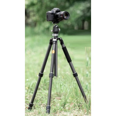 KF Statyw Kf Statyw Foto Video 172cm 16kg Monopod Poliwęglan Głowica Bh-36 / K&f / X284c4 / Kf09.117