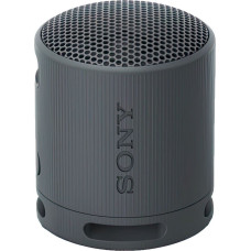 Sony SRS-XB100 Czarny